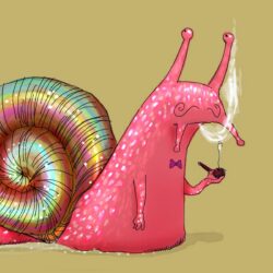 Pipe Smoking snail wallpapers