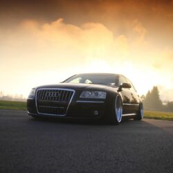 cars, stance, Hella Flush, Audi S8, low :: Wallpapers