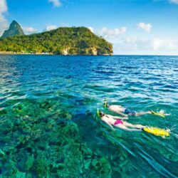 Interesting information about: Saint lucia