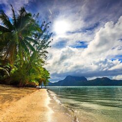 nature, Landscape, Beach, Sea, Palm Trees, Clouds, Island, Sunlight