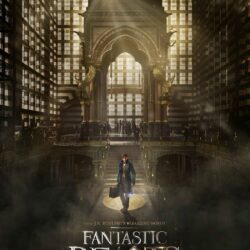 Fantastic Beasts and Where to Find Them HD Desktop Wallpapers