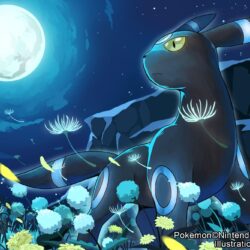 38 Umbreon