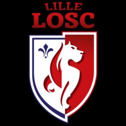 Lille OSC 8k Ultra HD Wallpapers