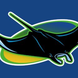 Tampa Bay Rays Clipart