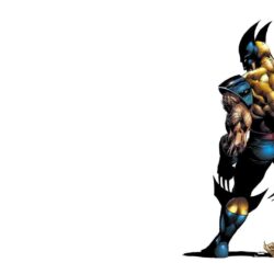 HD wolverine wallpapers hd / Wallpapers Database