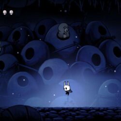 Hollow Knight Review