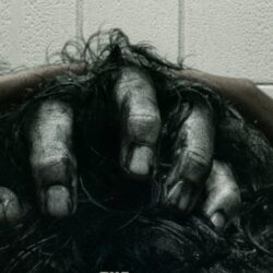 The Grudge Poster Has Something Gross in Its Hair