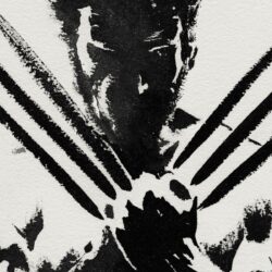The Wolverine 2013 Movie Poster ❤ 4K HD Desktop Wallpapers for 4K
