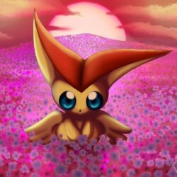 Victini’s Gift by Shaami