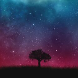 A Tree and the Universe widescreen wallpapers