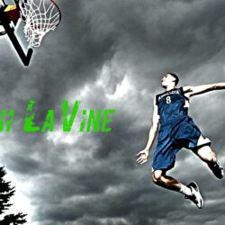Zach La Vine NBA Basketball Wallpapers