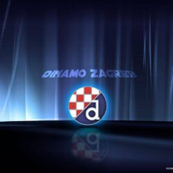Dinamo Zagreb Wallpapers Wallpapers: Players, Teams, Leagues Wallpapers