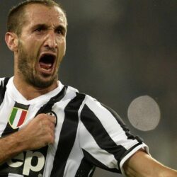 Giorgio Chiellini HD Image whb 4