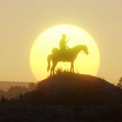 Red Dead Redemption 2 review: “When the credits roll, you’ll have