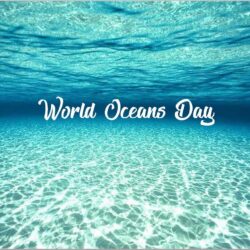 Happy World Oceans Day Under The Ocean