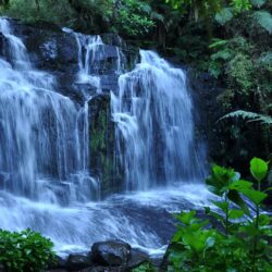 Kaieteur Falls in Guyana Beautiful Waterfall HD Wallpapers