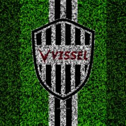 Download wallpapers Vissel Kobe FC, 4k, logo, football lawn