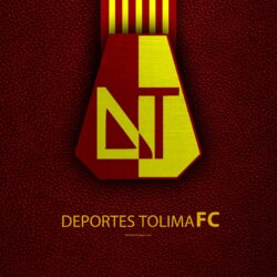 Download wallpapers Club Deportes Tolima, 4k, leather texture, logo