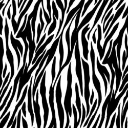Zebra Computer Wallpapers