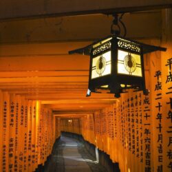 The Image of Japan Lanterns Shrine Kyoto Inari Fresh HD Wallpapers