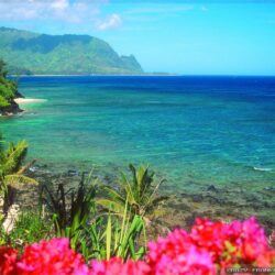 Adorable HDQ Backgrounds of Hawaiian, 44 Hawaiian Full HD Wallpapers