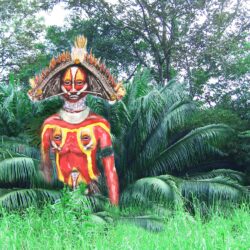 warrior from Papua