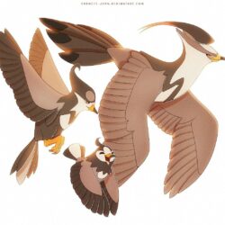 Starly, Staravia, and Staraptor