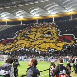 Tickets vor Auslosung vergriffen: Eintracht: Europa