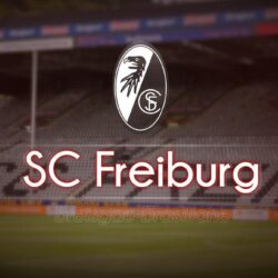 List of Synonyms and Antonyms of the Word: sc freiburg