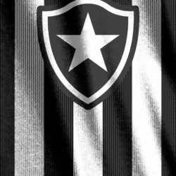 DNZ Soccer Flags: Wallpapers: Botafogo 1 x 0 Club Olimpia
