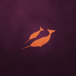 Ubuntu 11.04 Community Wallpapers Revealed, Default Wallpapers