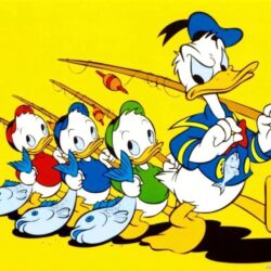 Cartoon Pictures: Duck Tales