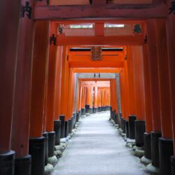 File:Fushimi Inari Shrine 伏見稲荷大社21