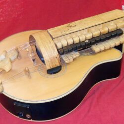 joel peyton, luthier: my hurdy gurdy