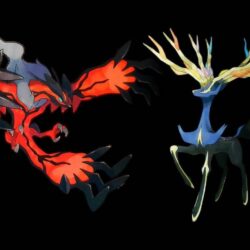Xerneas And Yveltal Legendary Pokemon Wallpapers