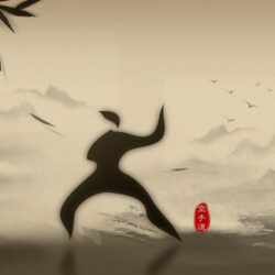 Karate Wallpapers and Backgrounds