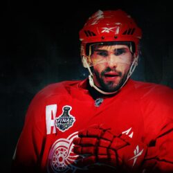 Hockey player Pavel Datsyuk wallpapers and image