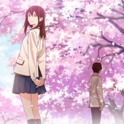 I Want To Eat Your Pancreas Review
