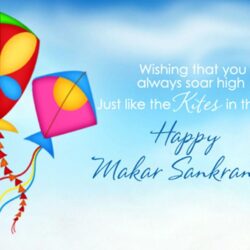 Happy Makar Sankranti Wallpapers Image Free Download
