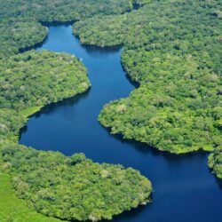 Beautiful Long Amazon River HD Photo