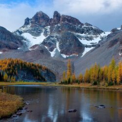 British columbia canada larch mount assiniboine canadian rockies