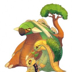 Turtwig Grotle and Torterra by francis