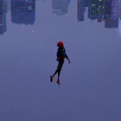 SpiderMan Into The Spider Verse 2018 Movie iPhone 6, iPhone