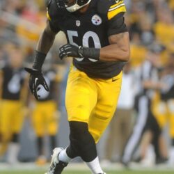 46 best Pittsburgh Steelers!!! image