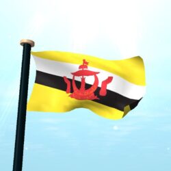 Brunei Darussalam Flag 3D Free for Android