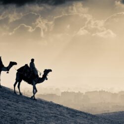 Arab People Camels, HD World, 4k Wallpapers, Image, Backgrounds