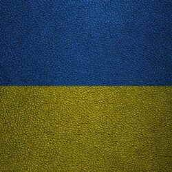 Download wallpapers Flag of Ukraine, 4k, leather texture, Ukrainian