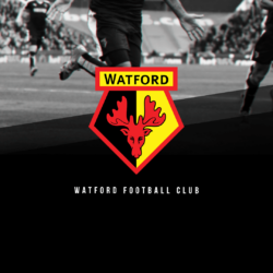 Watford FC Wallpapers