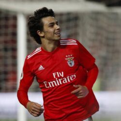 Primeira Liga » News » João Félix: Benficas Wunderkind blüht auf