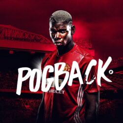 Wallpapers Paul Pogba Bersama Manchester United Terbaru